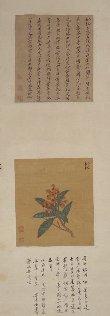 图片[3]-Zhou Shuxi and Zhou Shuhu flower and fruit picture screen-China Archive